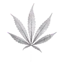 ස්ටිකර්