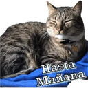 స్టికర్