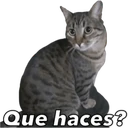 స్టికర్