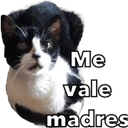 స్టికర్