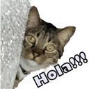 స్టికర్