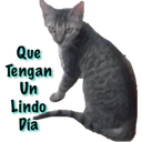 స్టికర్