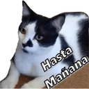 స్టికర్