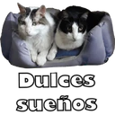 స్టికర్