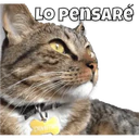 స్టికర్