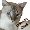 స్టికర్