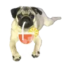 স্টিকার