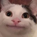 స్టికర్