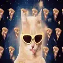 ස්ටිකර්