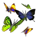 ស្ទីកเกอร์