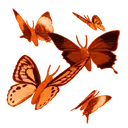 ស្ទីកเกอร์