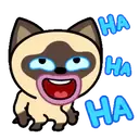 Կպչուն պիտակ