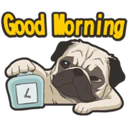 Կպչուն պիտակ