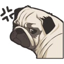 Կպչուն պիտակ