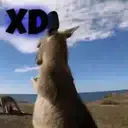 স্টিকার