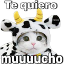 స్టికర్