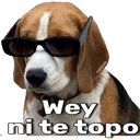 స్టికర్