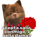 స్టికర్