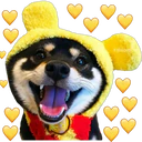 స్టికర్