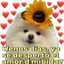 స్టికర్