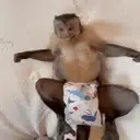 స్టికర్