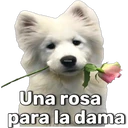 స్టికర్