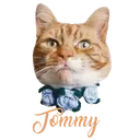 ស្ទីកเกอร์