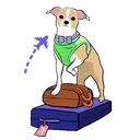 ஸ்டிக்கர்