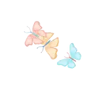 Կպչուն պիտակ