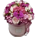 ஸ்டிக்கர்