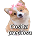 స్టికర్