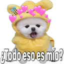 స్టికర్