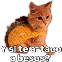 స్టికర్