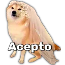 స్టికర్