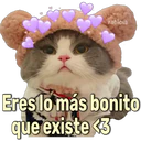 స్టికర్