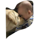 স্টিকার