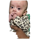 স্টিকার