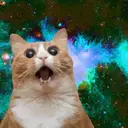 Կպչուն պիտակ