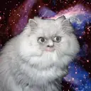 Կպչուն պիտակ