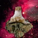 Կպչուն պիտակ