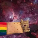 Կպչուն պիտակ