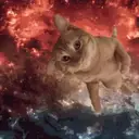 Կպչուն պիտակ