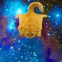 Կպչուն պիտակ