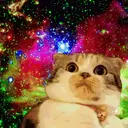 Կպչուն պիտակ