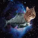 Կպչուն պիտակ