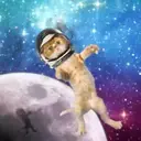 Կպչուն պիտակ