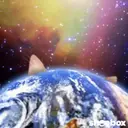 Կպչուն պիտակ