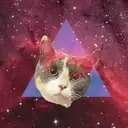 Կպչուն պիտակ