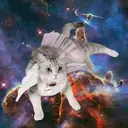 Կպչուն պիտակ