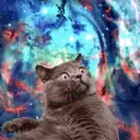 Կպչուն պիտակ